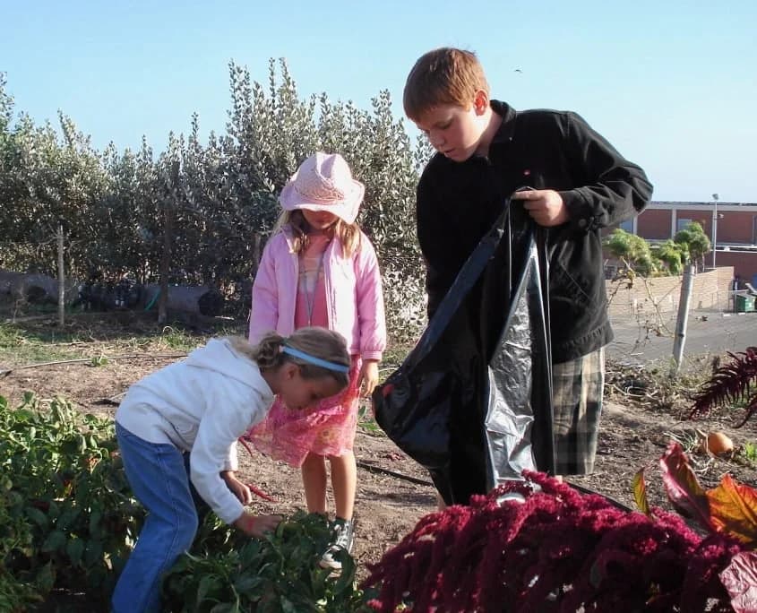 Cornucopia Malibu Farmers Market Environmental Learning Center photo 1