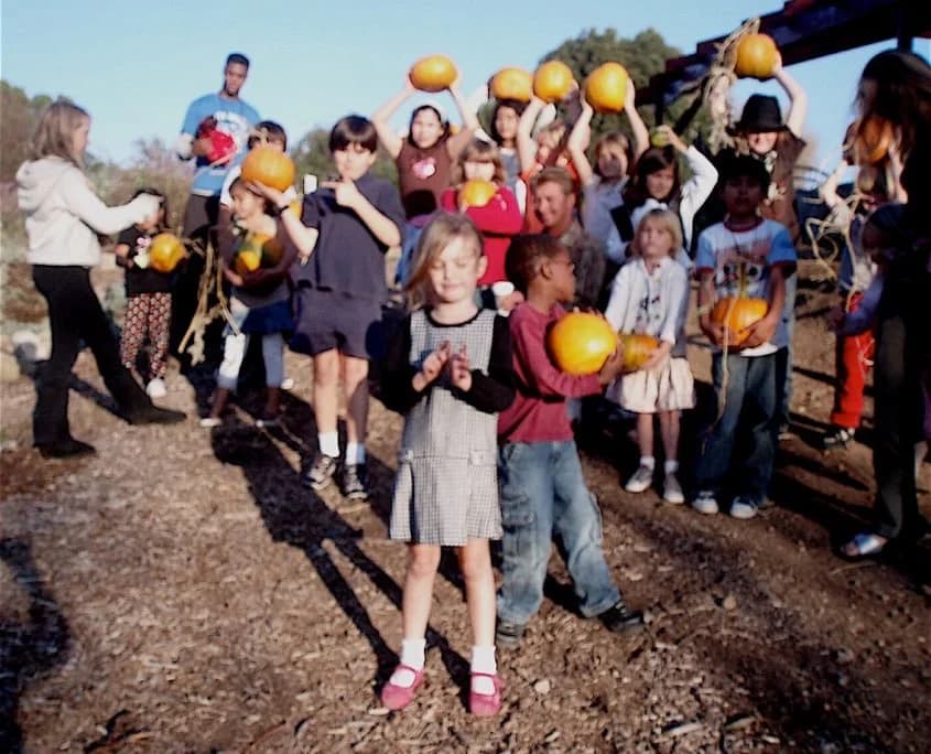 Cornucopia Malibu Farmers Market Environmental Learning Center photo 4