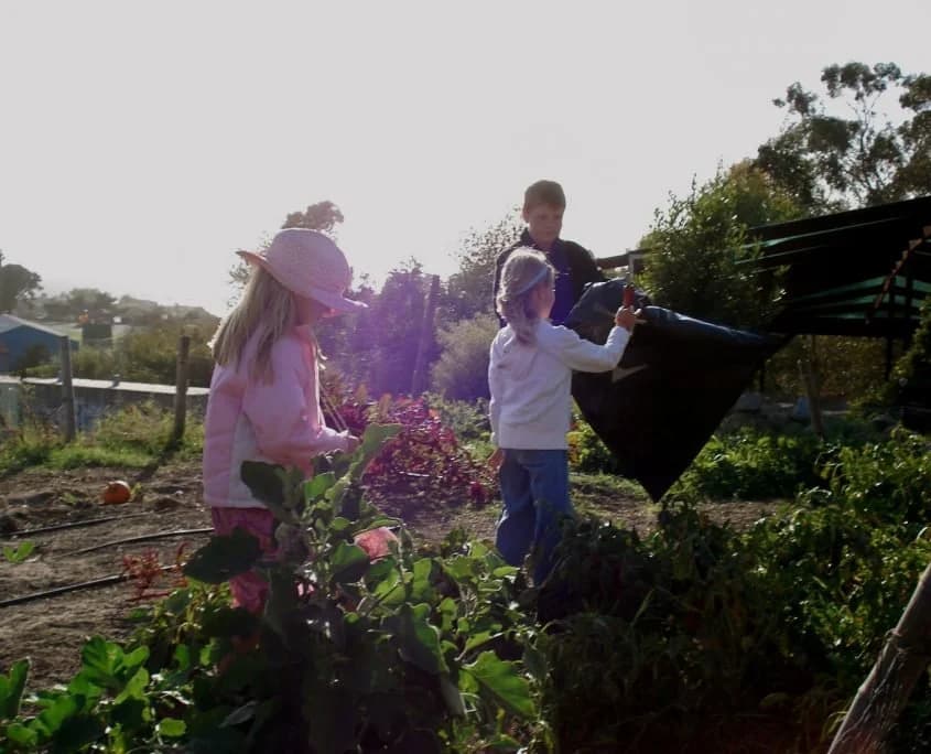Cornucopia Malibu Farmers Market Environmental Learning Center photo 5