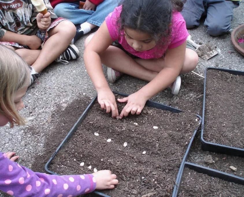 Cornucopia Malibu Farmers Market Environmental Learning Center photo 6