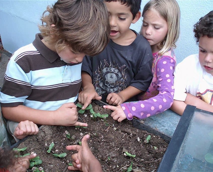 Cornucopia Malibu Farmers Market Environmental Learning Center photo 15