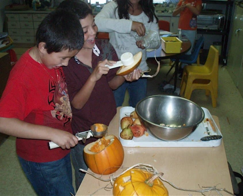 Cornucopia Malibu Farmers Market Environmental Learning Center photo 18
