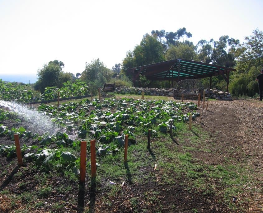 Cornucopia Malibu Farmers Market Environmental Learning Center photo 23