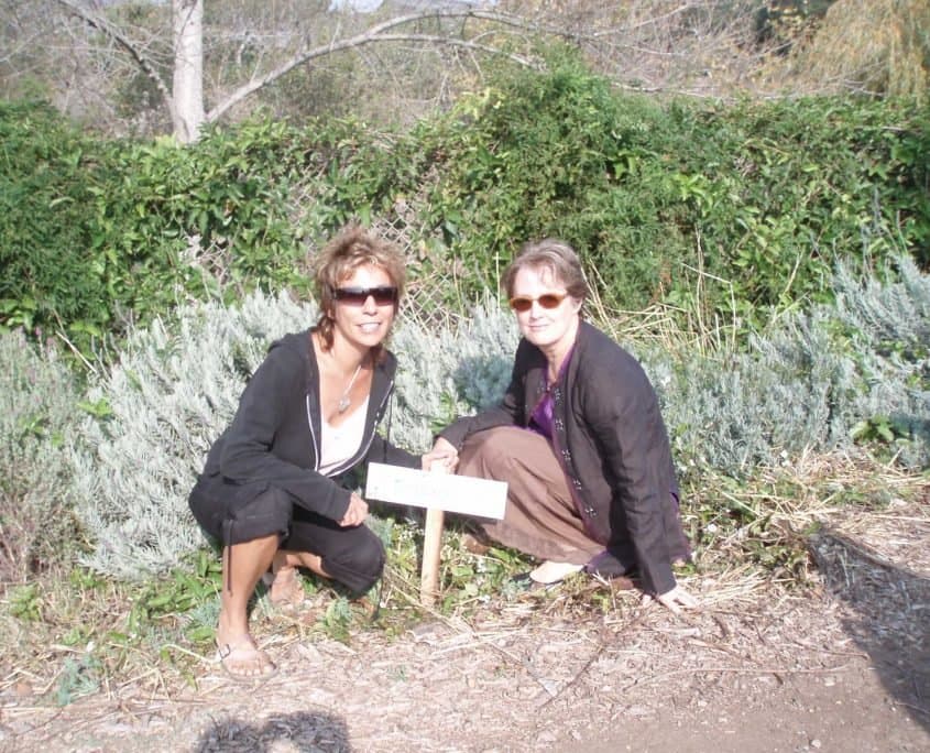 Cornucopia Malibu Farmers Market Environmental Learning Center photo 24