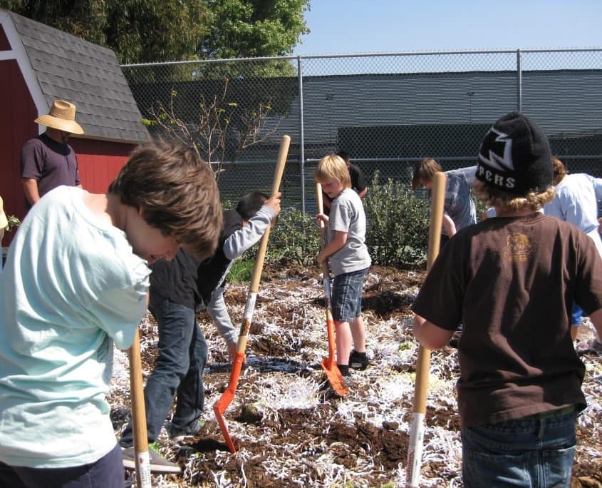 Cornucopia Malibu Farmers Market Environmental Learning Center photo 28