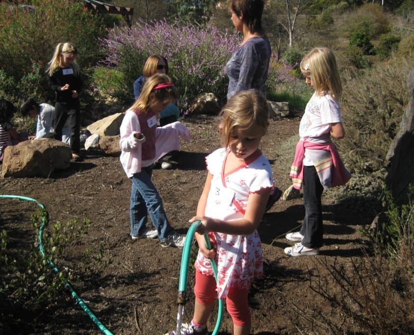 Cornucopia Malibu Farmers Market Environmental Learning Center photo 31