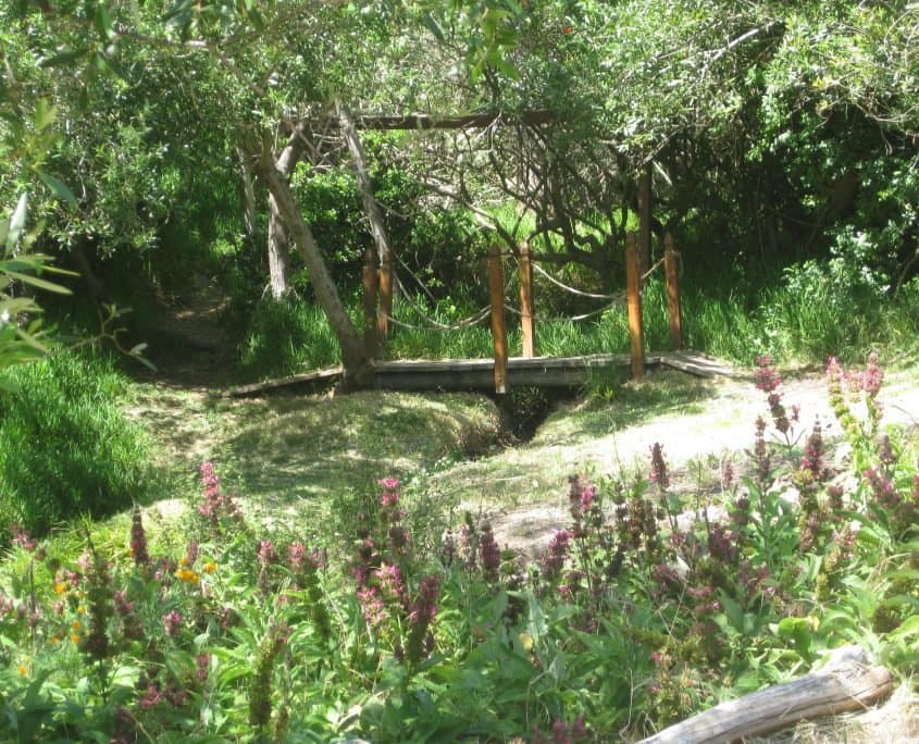 Cornucopia Malibu Farmers Market Environmental Learning Center photo 32