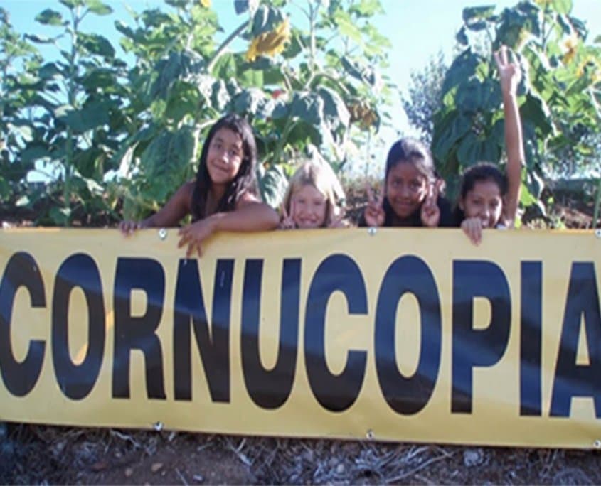 Cornucopia Malibu Farmers Market Environmental Learning Center photo 34