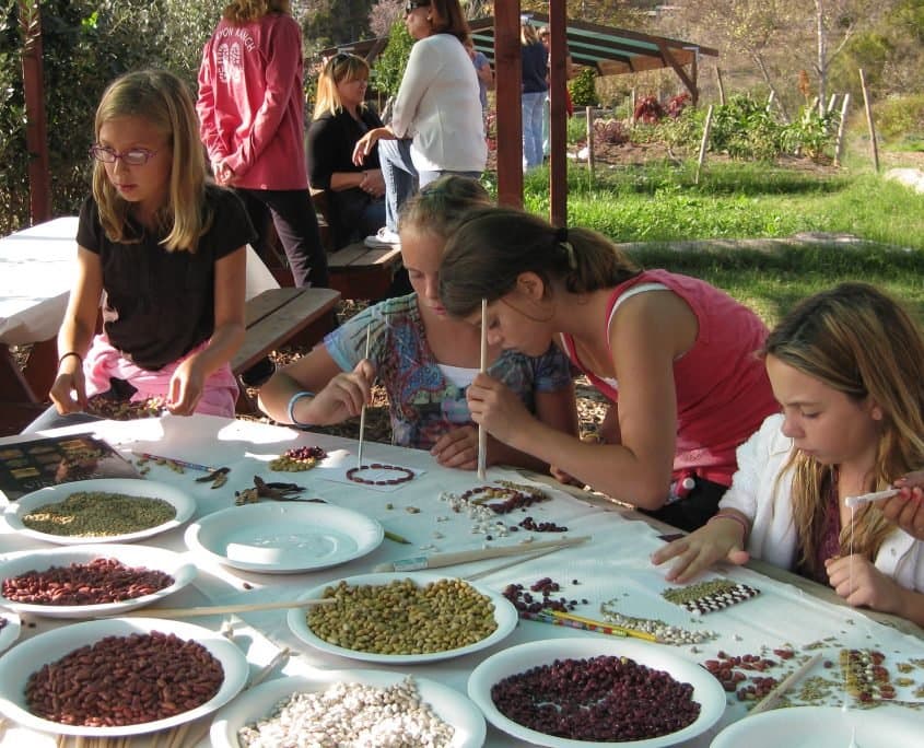 Cornucopia Malibu Farmers Market Environmental Learning Center photo 36