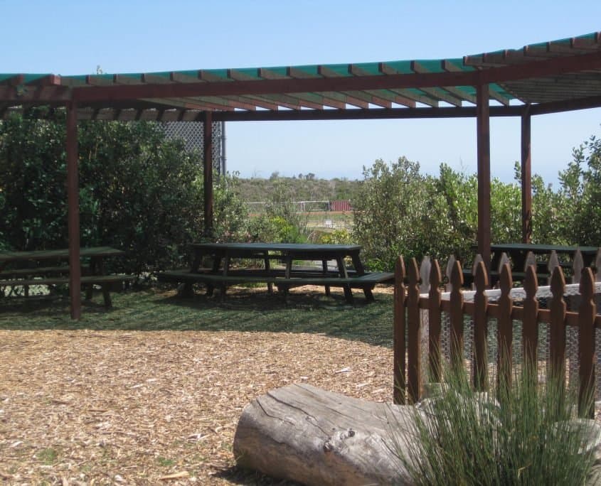 Cornucopia Malibu Farmers Market Environmental Learning Center photo 38