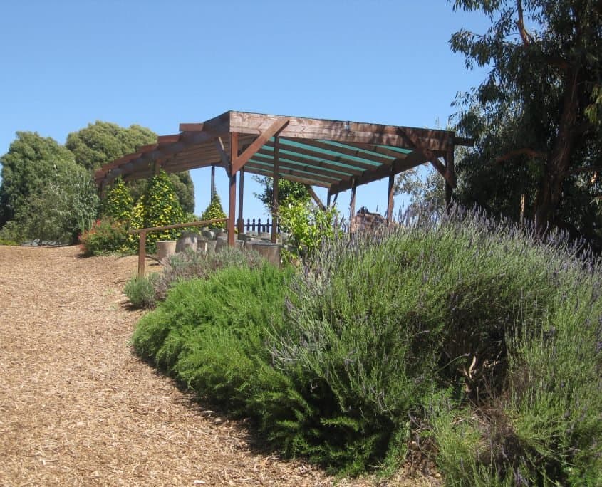 Cornucopia Malibu Farmers Market Environmental Learning Center photo 40