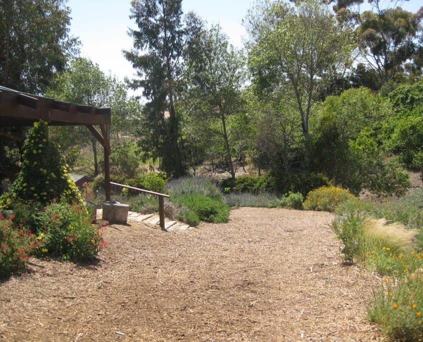 Cornucopia Malibu Farmers Market Environmental Learning Center photo 42