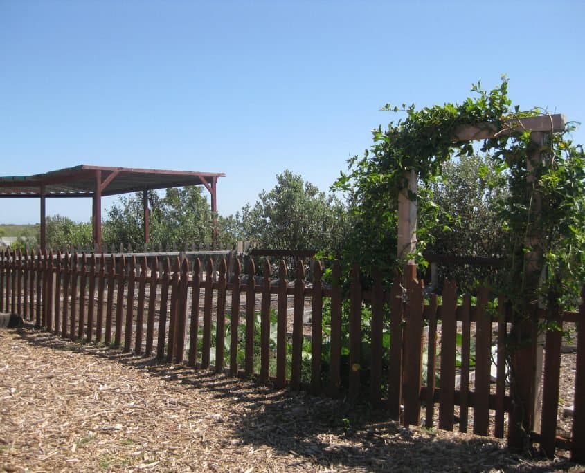 Cornucopia Malibu Farmers Market Environmental Learning Center photo 43