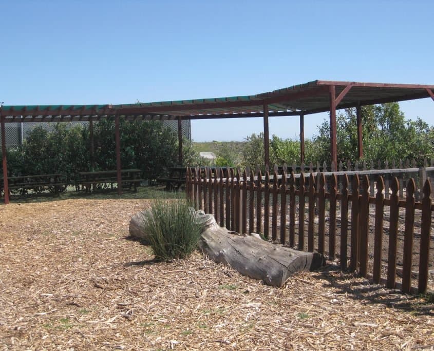 Cornucopia Malibu Farmers Market Environmental Learning Center photo 44