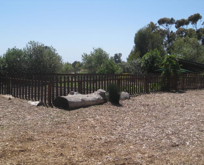 Cornucopia Malibu Farmers Market Environmental Learning Center photo 46