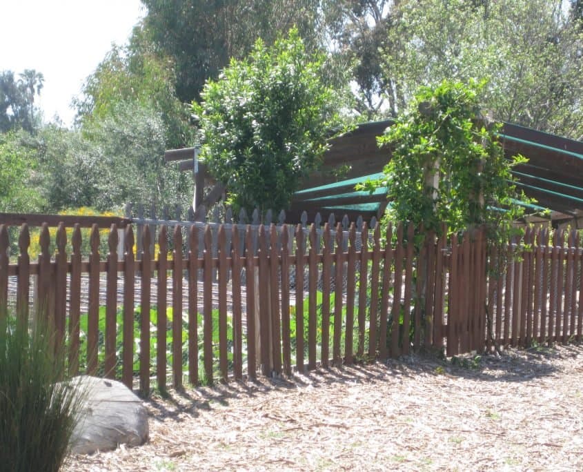 Cornucopia Malibu Farmers Market Environmental Learning Center photo 47