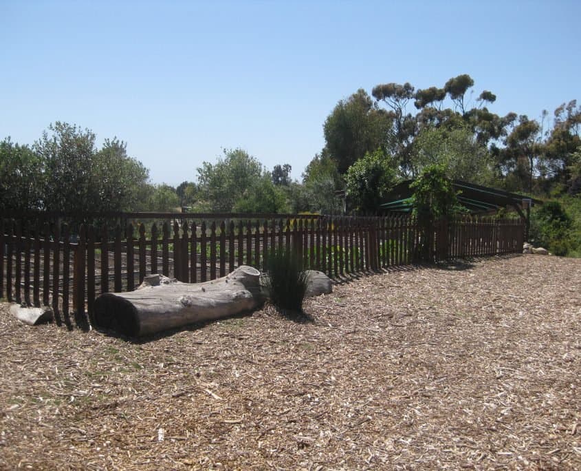 Cornucopia Malibu Farmers Market Environmental Learning Center photo 48