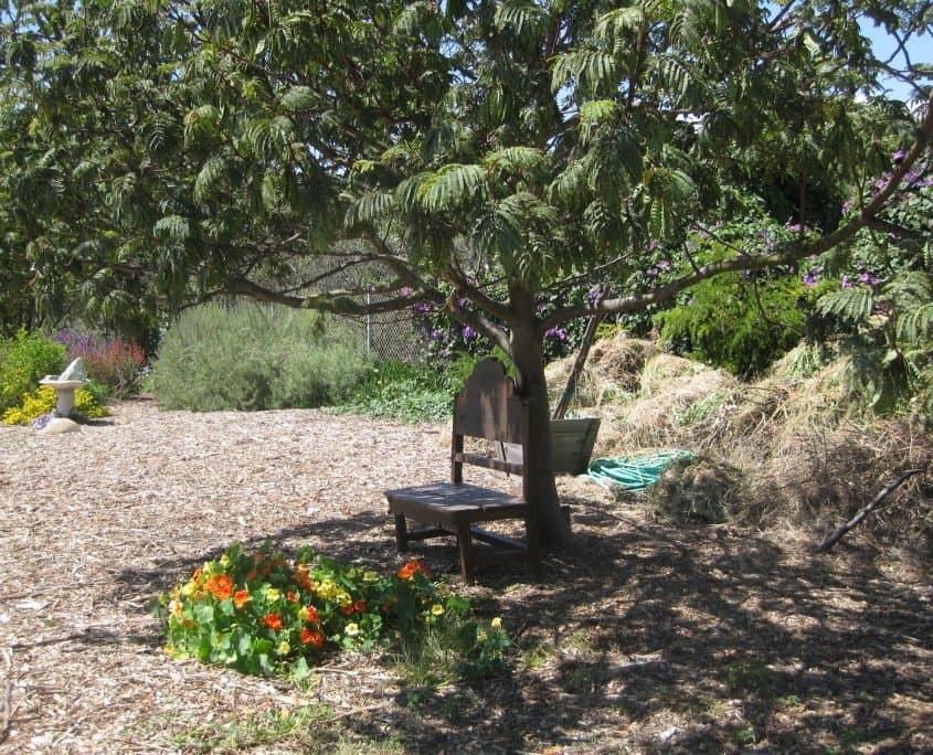 Cornucopia Malibu Farmers Market Environmental Learning Center photo 51