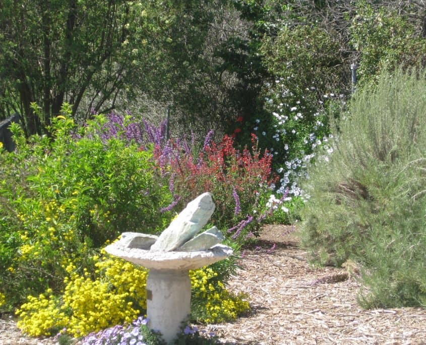 Cornucopia Malibu Farmers Market Environmental Learning Center photo 52