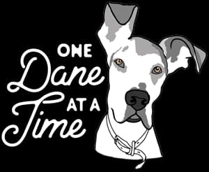 One Dane At A Time
