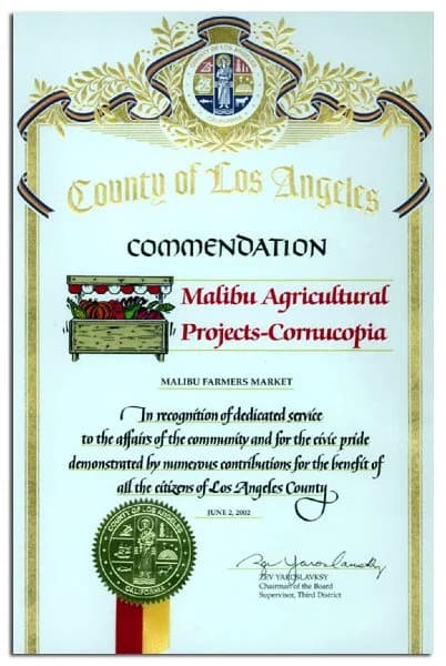 County of Los Angeles Commendation